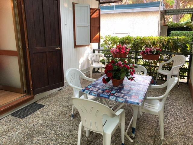 Camping Nuovo Massa  Exterior photo